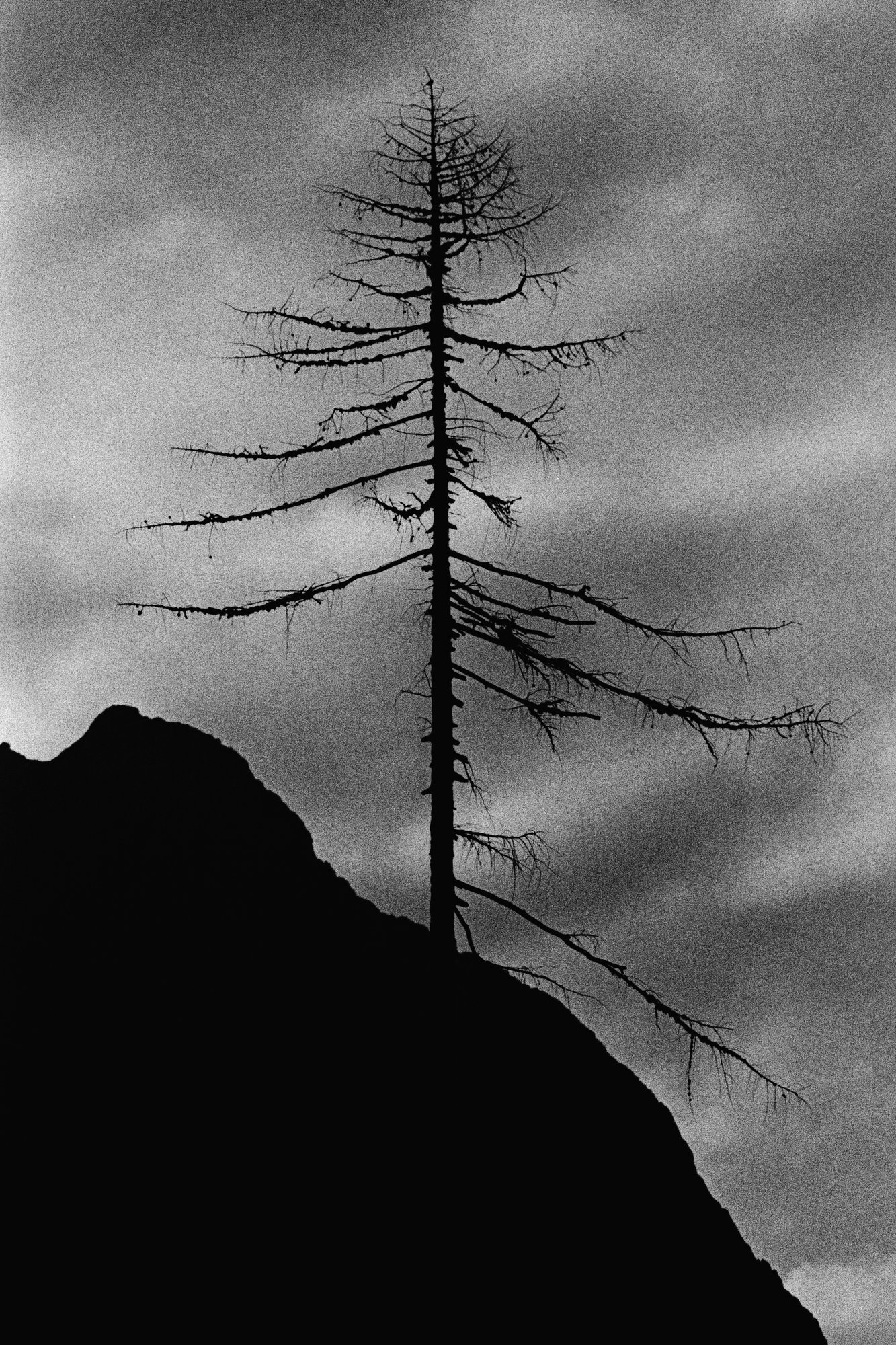 Black and white film photograph by Federico Marcon