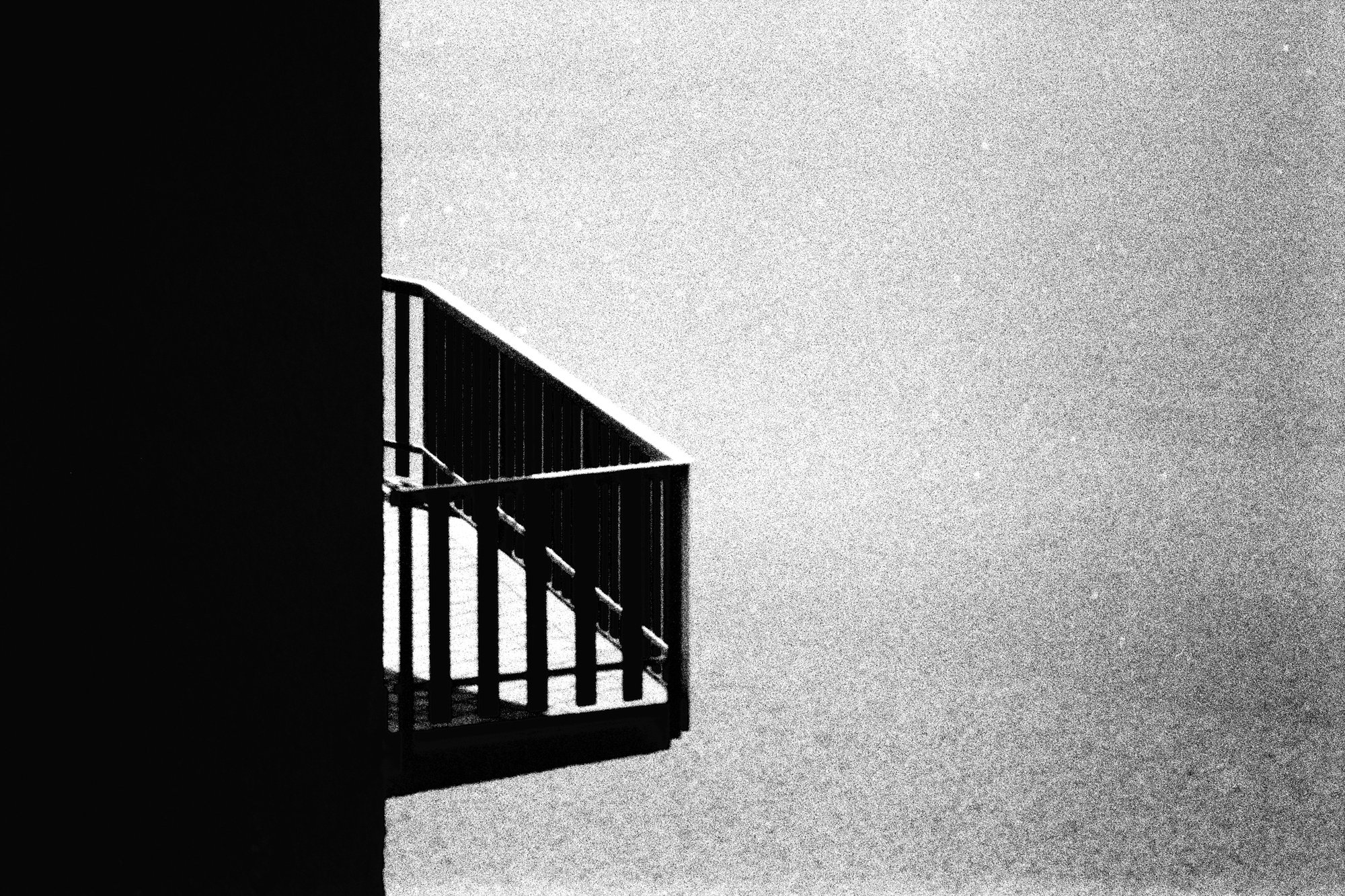 Black and white film photograph by Federico Marcon