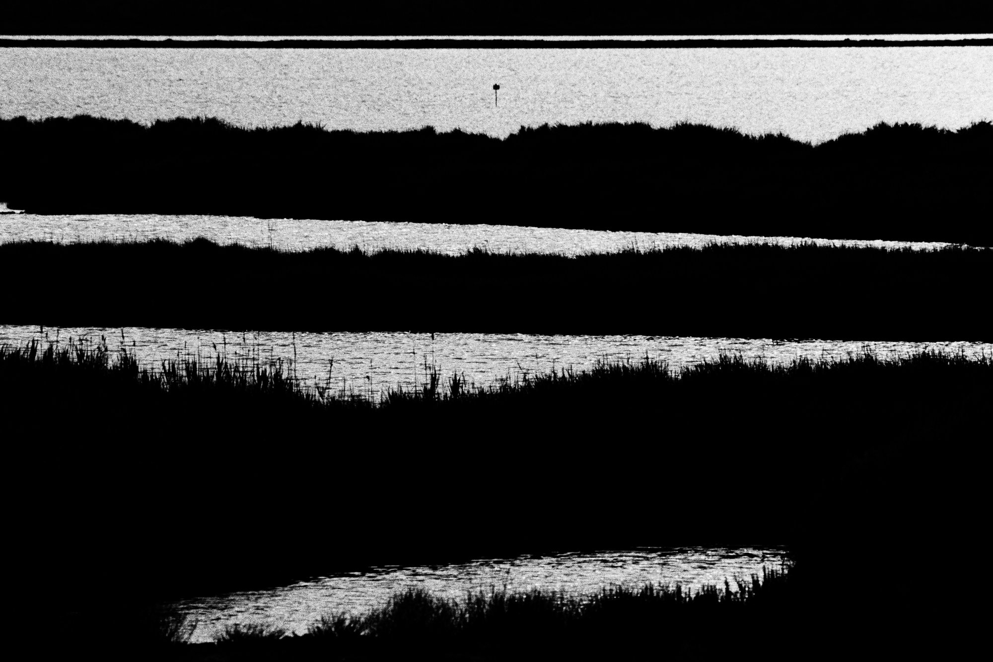 Barena #1 — black and white film photograph from Federico Marcon's Morfologie series