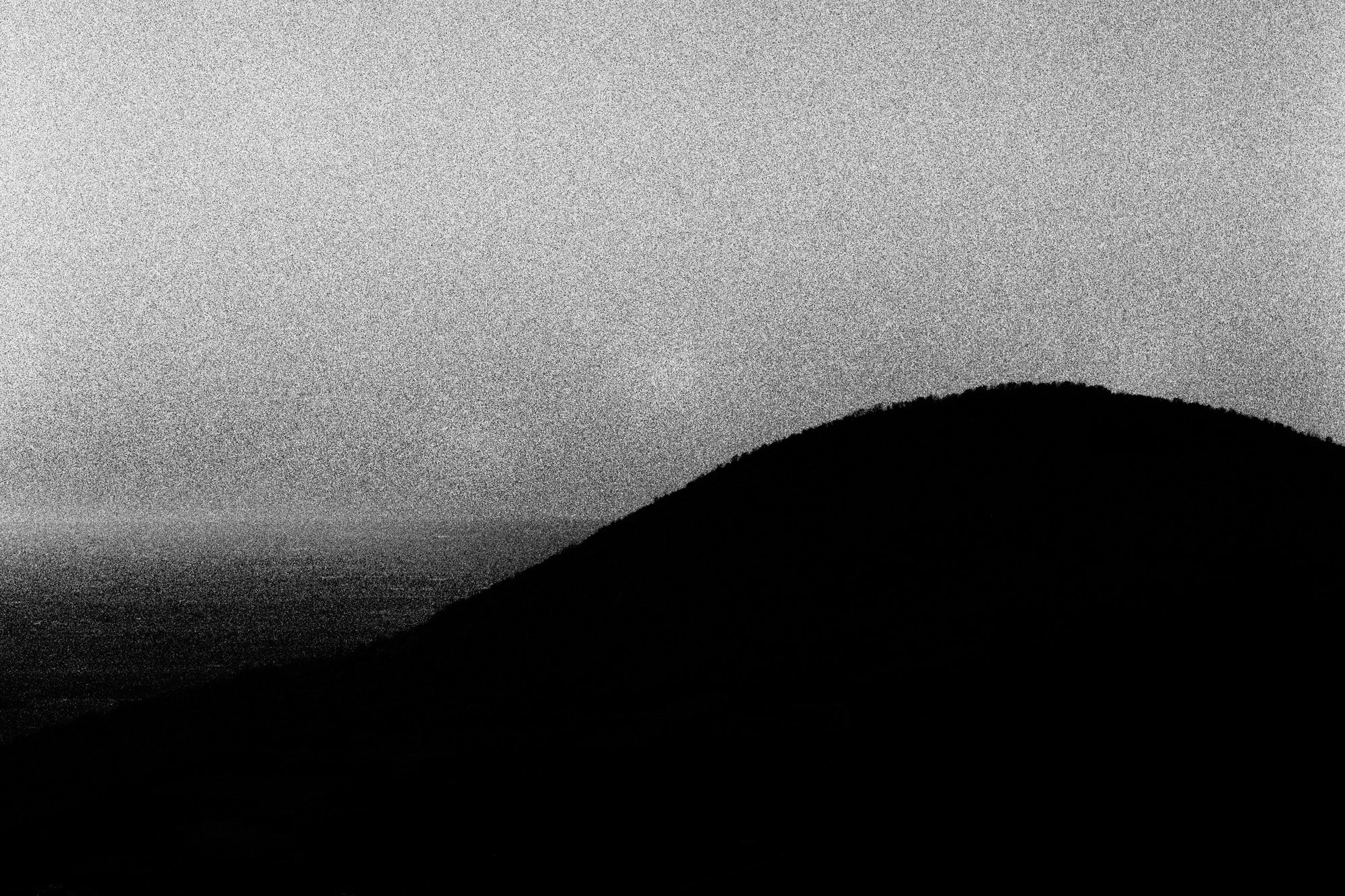 Collina #1 — black and white film photograph from Federico Marcon's Morfologie series