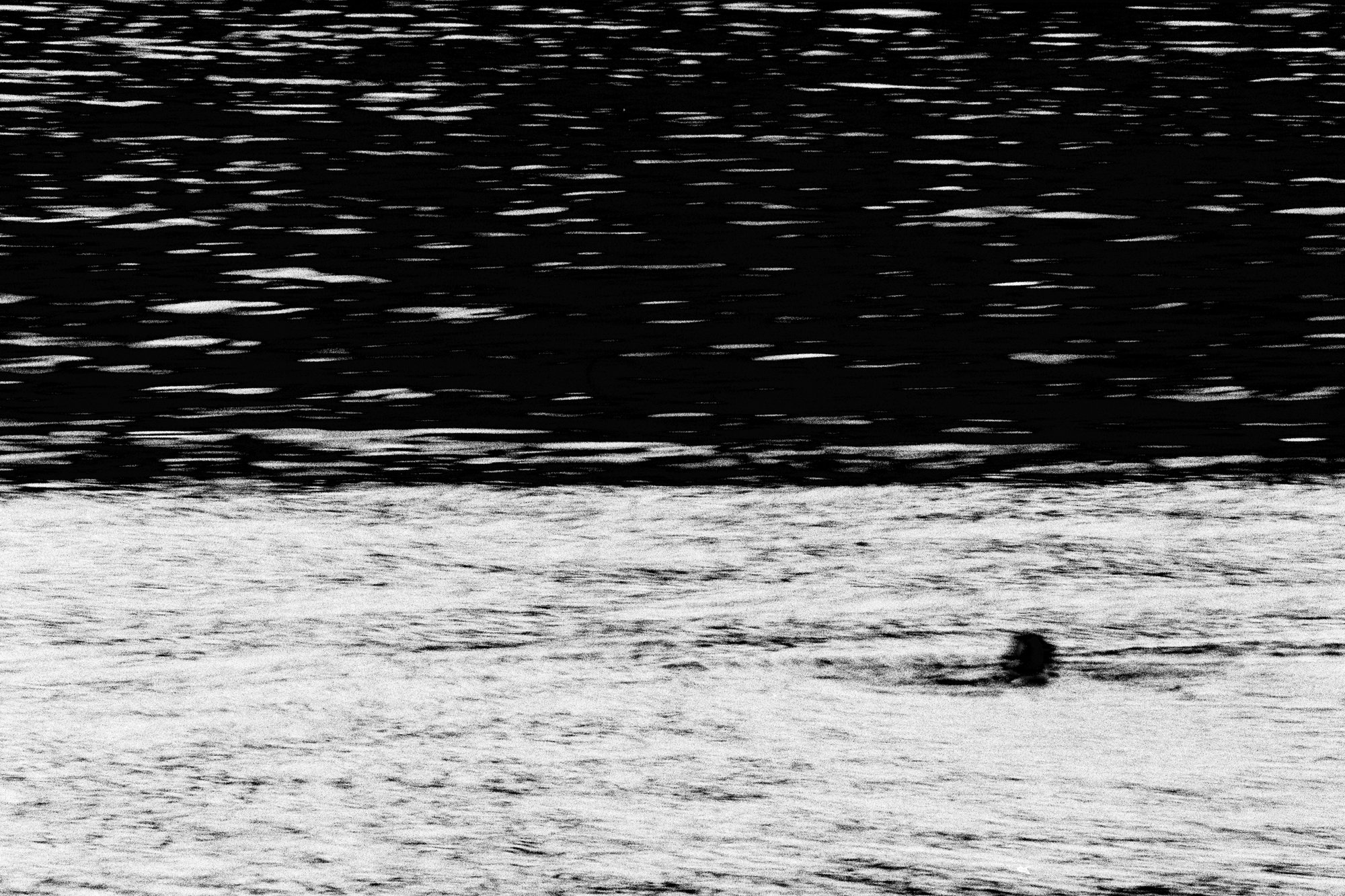 Lago #1 — black and white film photograph from Federico Marcon's Morfologie series