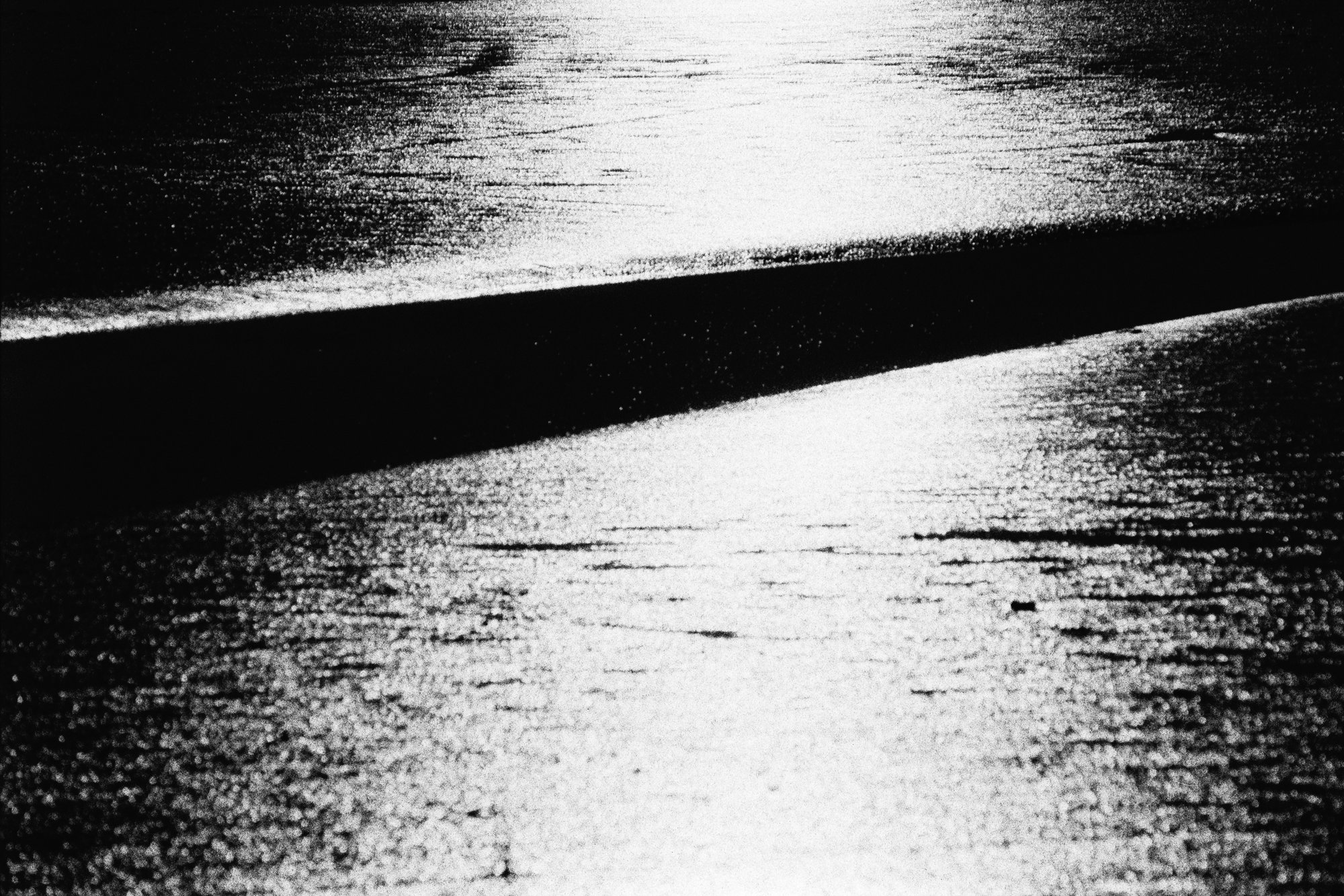 Laguna #1 — black and white film photograph from Federico Marcon's Morfologie series