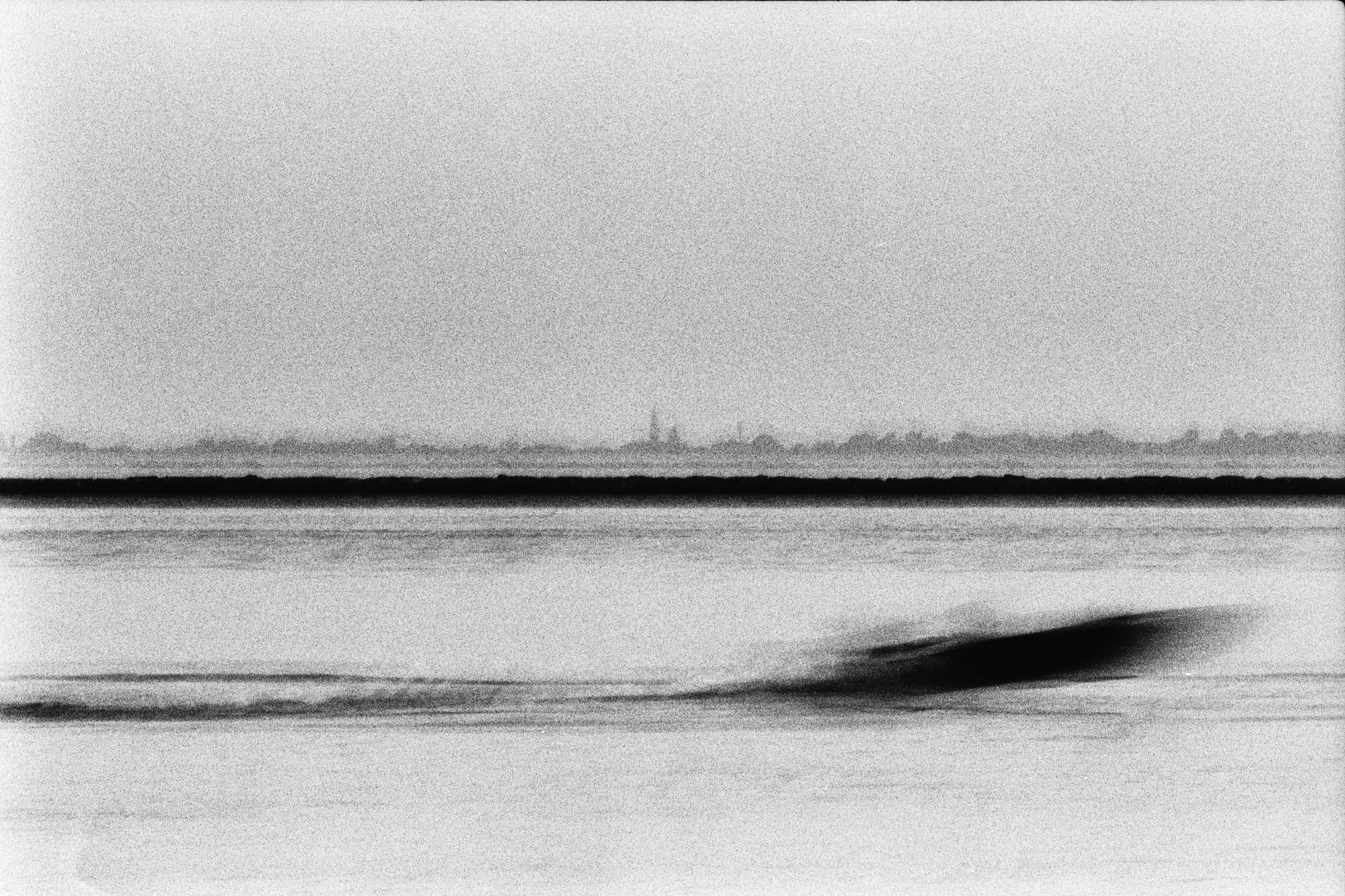 Laguna #2 — black and white film photograph from Federico Marcon's Morfologie series