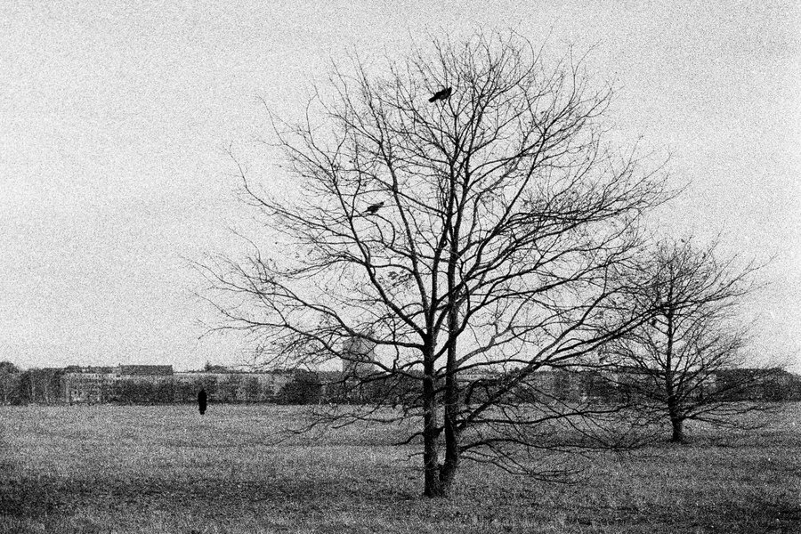 Berlin — black and white film photography series by Federico Marcon
